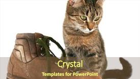  Presentation with cat - Presentation design featuring puss boots - cat and boot background and a tawny brown colored foreground