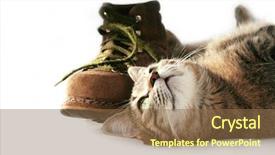  Presentation with relaxing - Amazing presentation design having puss boots - relaxing cat backdrop and a tawny brown colored foreground