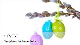  Presentation with white easter lily flowers - Cool new slide set with pussy-willow twigs with easter backdrop and a white colored foreground