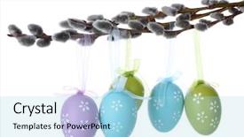  Presentation with white easter lily flowers - Slides with pussy-willow twigs with easter background and a light blue colored foreground