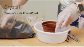  Presentation with plastic container - PPT theme having put-soil-into-the-plastic background and a light gray colored foreground