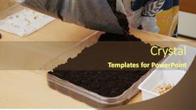  Presentation with plastic container - PPT theme with put-soil-into-the-plastic background and a tawny brown colored foreground