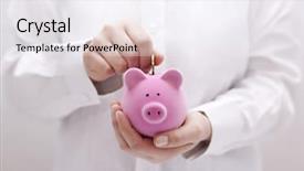  Presentation with piggy bank - Slide set consisting of fresh burdock roots isolated on white background background and a pink colored foreground