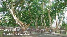  Presentation with north korea - Beautiful presentation featuring pyongyang-september-5-north-korean backdrop and a gray colored foreground