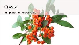  Presentation with orange green white - Beautiful PPT theme featuring traditional wooden stilt houses at the inle lake shan state myanmar inle is one of the highest lakes at an elevation of 2900 feet 880m backdrop and a tawny brown colored foreground.