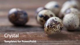  Presentation with quail bird - Slides with pyramid bird - group of quail eggs background and a violet colored foreground