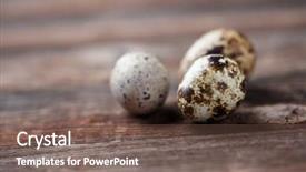  Presentation with quail - Cool new presentation theme with pyramid bird - group of quail eggs backdrop and a  colored foreground