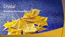  Presentation with rain water - Slides having qran - yellow autumn leaf floating background and a ocean colored foreground