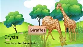  Presentation with animal and plants illustration - PPT layouts enhanced with quadrilaterals - illustration of the two giraffes background and a yellow colored foreground