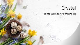  Presentation with bird eggs - Beautiful slides featuring quail bird - easter eggs and spring flowers backdrop and a white colored foreground