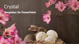  Presentation with quail - Audience pleasing presentation design consisting of quail-easter-eggs-and-spring backdrop and a tawny brown colored foreground