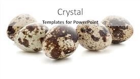  Presentation with quail - Presentation theme enhanced with quail-egg-isolated-on-white background and a white colored foreground