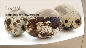  Presentation with quail - PPT theme with quail-egg-isolated-on-white background and a soft green colored foreground