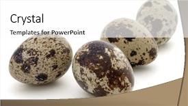  Presentation with quail - Beautiful PPT layouts featuring quail egg isolated on white backdrop and a white colored foreground