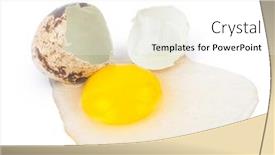  Presentation with protein - PPT layouts featuring quail egg yolk protein background and a white colored foreground