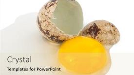  Presentation with protein - Cool new presentation theme with quail egg yolk protein backdrop and a blonde colored foreground