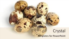  Presentation with quail - Amazing PPT layouts having quail egg backdrop and a lemonade colored foreground