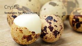  Presentation with quail - Presentation theme enhanced with quail-egg background and a lemonade colored foreground