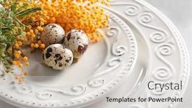  Presentation with quail - Slides with quail eggs and mimosa flower on plate as decor for easter table setting background and a light gray colored foreground