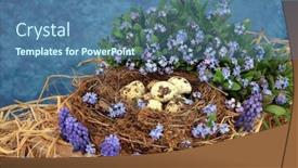  Presentation with quail - Colorful PPT theme enhanced with quail-eggs-in-a-natural backdrop and a ocean colored foreground