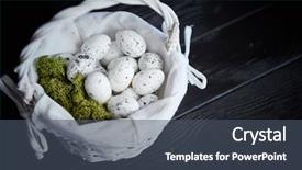 Presentation with bird eggs - Cool new PPT theme with quail eggs in a nest backdrop and a dark gray colored foreground