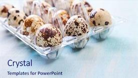  Presentation with quail - Slides enhanced with quail eggs in a transparent background and a light blue colored foreground
