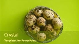  Presentation with protein - Slide set having quail eggs in basket textured background and a tawny brown colored foreground