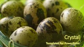  Presentation with quail - Presentation design having quail eggs in basket textured background and a tawny brown colored foreground