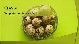  Presentation with protein - Cool new theme with quail eggs in basket textured backdrop and a yellow colored foreground