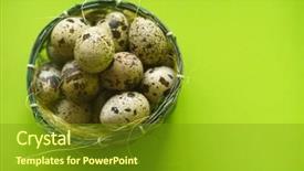  Presentation with quail - Beautiful PPT layouts featuring quail eggs in basket textured backdrop and a tawny brown colored foreground