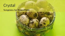  Presentation with quail - Audience pleasing theme consisting of quail eggs in basket textured backdrop and a yellow colored foreground
