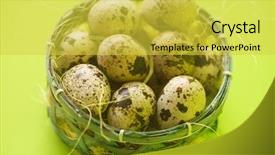  Presentation with quail bird - Slide set enhanced with quail eggs in basket textured background and a yellow colored foreground