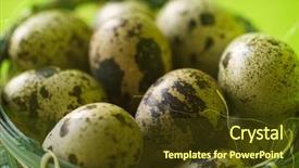  Presentation with quail bird - Audience pleasing slide set consisting of quail eggs in basket textured backdrop and a tawny brown colored foreground