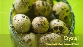  Presentation with protein - Amazing slide set having quail eggs in basket textured backdrop and a tawny brown colored foreground
