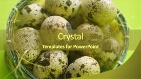  Presentation with protein - Colorful PPT theme enhanced with quail eggs in basket textured backdrop and a tawny brown colored foreground