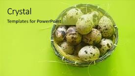  Presentation with quail - Beautiful theme featuring quail eggs in basket textured backdrop and a yellow colored foreground