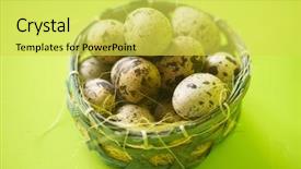  Presentation with bird eggs - Presentation theme consisting of quail eggs in basket textured background and a yellow colored foreground
