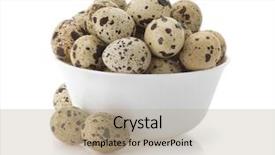  Presentation with quail - Slide set enhanced with 3d emergency ward - hospital bed isolated on white background and a sky blue colored foreground