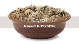  Presentation with quail - Slide set consisting of quail eggs in bowl isolated on white background background and a violet colored foreground