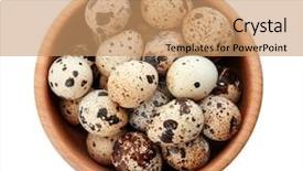  Presentation with bird eggs - Cool new PPT layouts with quail eggs in bowl backdrop and a coral colored foreground