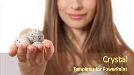  Presentation with quail - Slides having quail eggs in female hands background and a tawny brown colored foreground