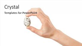  Presentation with waiter hand in white glove - Colorful slide set enhanced with quail eggs in hand isolated backdrop and a  colored foreground