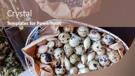  Presentation with quail - Presentation theme having quail eggs in the basket background and a coral colored foreground