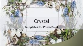  Presentation with bird eggs - Colorful PPT layouts enhanced with quail eggs in the nest backdrop and a sky blue colored foreground