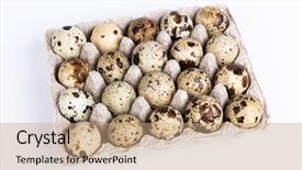  Presentation with quail - Amazing presentation having quail eggs in the package backdrop and a coral colored foreground