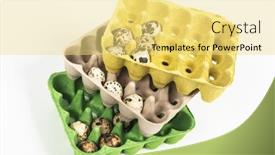  Presentation with quail - Slide set consisting of quail-eggs-in-the-package background and a yellow colored foreground
