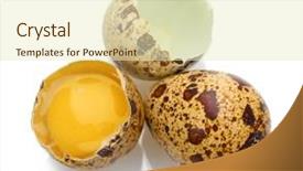  Presentation with eggs egg carton egg box - Colorful PPT theme enhanced with quail eggs isilated on white backdrop and a soft green colored foreground