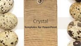  Presentation with quail - Beautiful presentation theme featuring quail eggs isolated on white background backdrop and a coral colored foreground