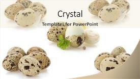  Presentation with quail - Cool new slide deck with water pouring into bottles streams backdrop and a light blue colored foreground.