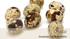  Presentation with quail - Theme having quail-eggs-isolated-on-white background and a soft green colored foreground